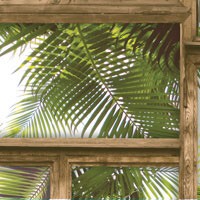 Обои SH&D Phoenix 88307-2